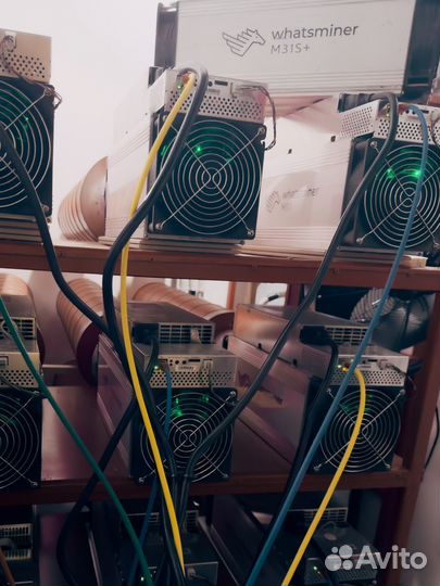 Asic whatsminer M31S+