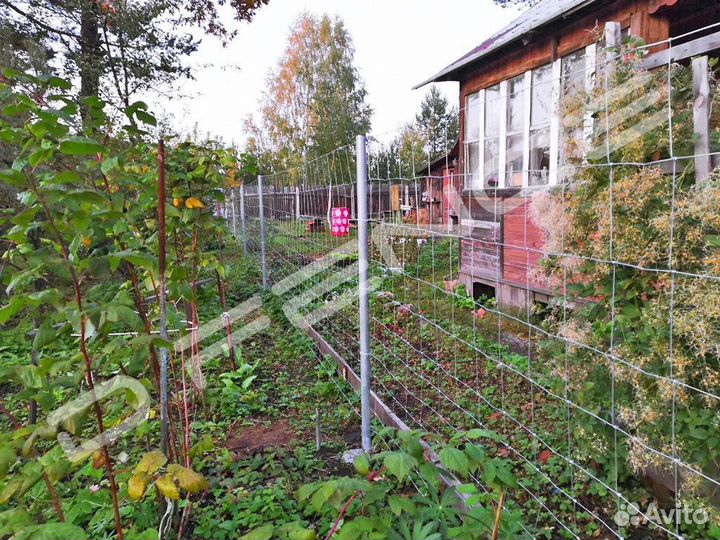 Столб 60х40х1,2мм, L2.5м для шарнирной сетки