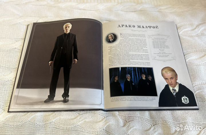 Гарри Поттер. Герои. Маги и маглы. Росмэн