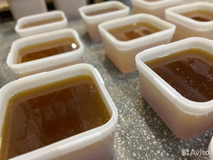 Натуральный свежий мёд разнотравье Качка 2023 толь