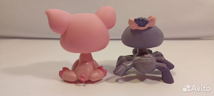 Littlest pet shop