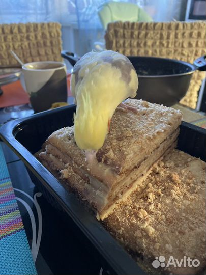 Попугай с клеткой