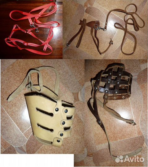 Поводок шлейка намордник