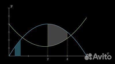 Репетитор по математике и информатике
