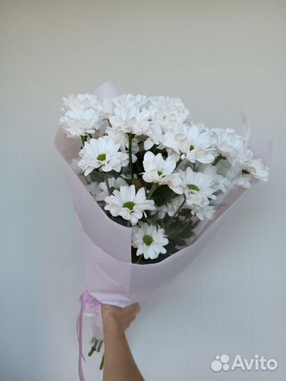 Ромашки. Букет Ромашек