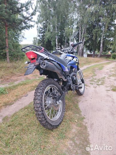 Racer 300 Enduro
