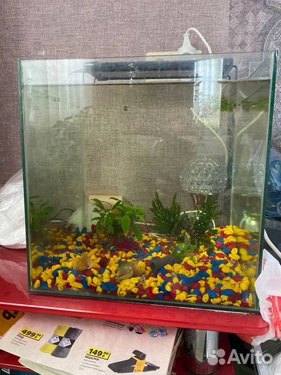 Аквариум вместе с компрессором
