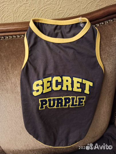 Одежда для собак йорк или чихуа-хуа