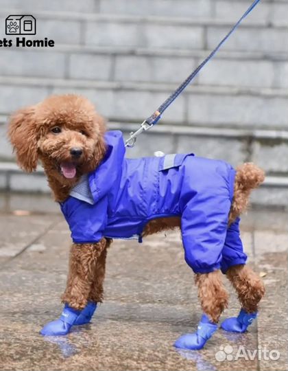 Обувь водонепроницаемая для собак