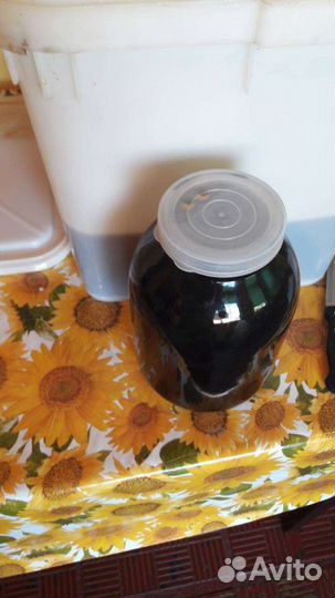 Мед гречишный 2023