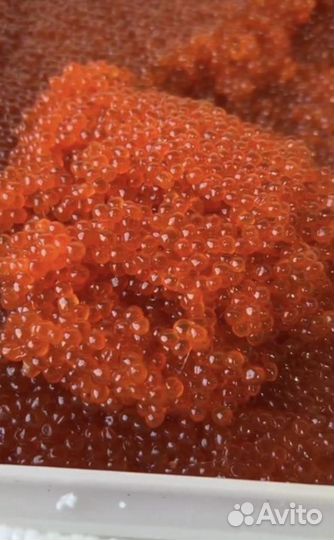 Красная икра горбуши