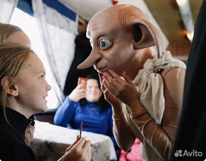 Шоу Гарри Поттер Волгоград