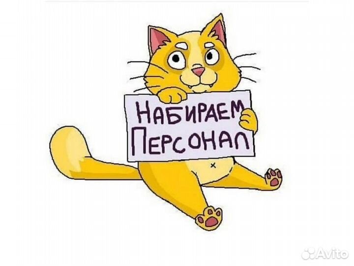 Вахта Ждем Сортировщика на Склад игрушек /Отл.Усл