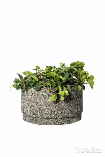 Урна из бетона в наличии и под заказ