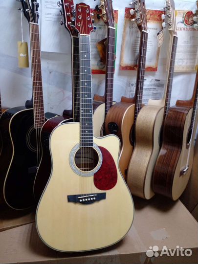 Концерт электро акустика