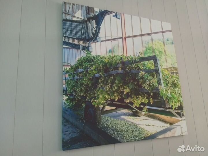 Фото на холсте, фотопечать на холсте