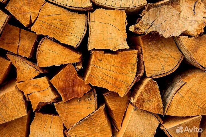 Дрова Береза