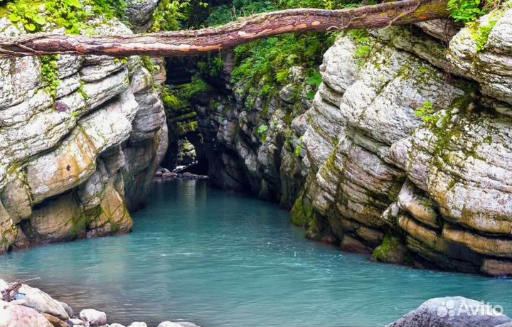 Тур поездка Абхазия завтрак, ужин на 6 нч