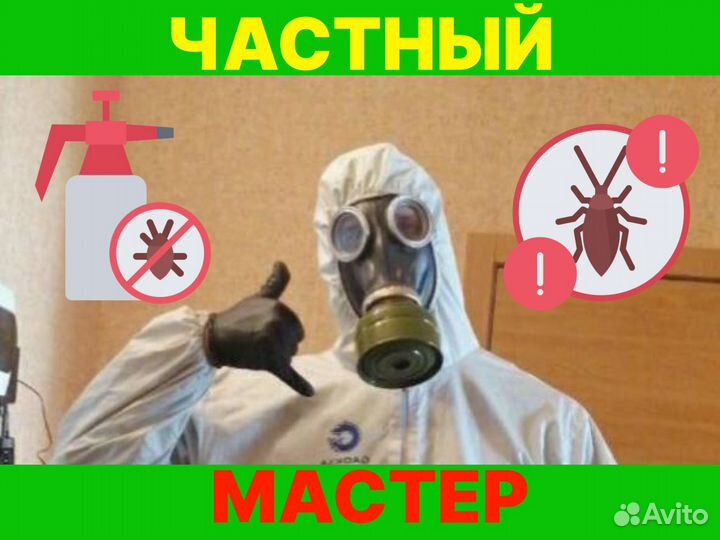 Уничтожение Клопы Тараканы Крыс Запах Дезинфекция