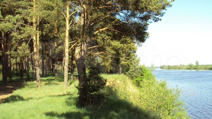 Участок 1169,22 га (СНТ, ДНП)