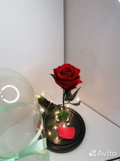 Роза в колбе с подсветкой /цветы / подарок