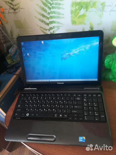 Toshiba для работы i5,озу8,hdd500,Intel hd