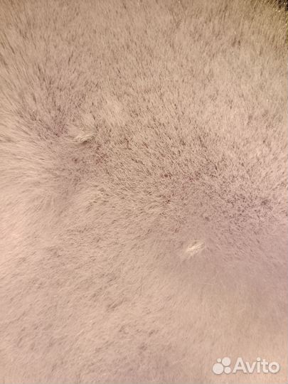 Экошуба Bershka