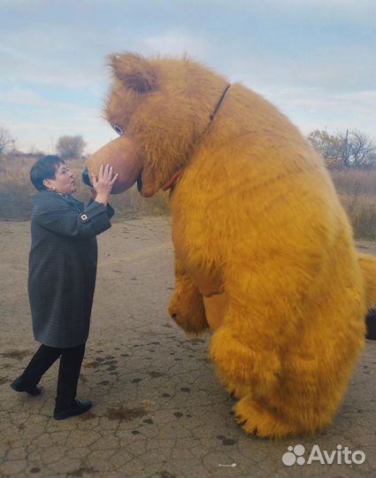 Медведь маша и медведь,ростовая кукла