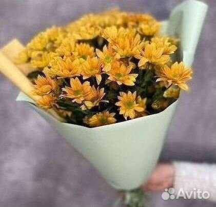 Букет. Хризантемы