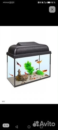 Аквариум