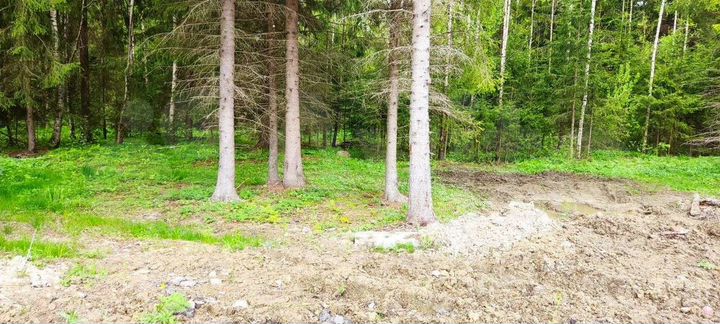 Участок 12,9 сот. (СНТ, ДНП)