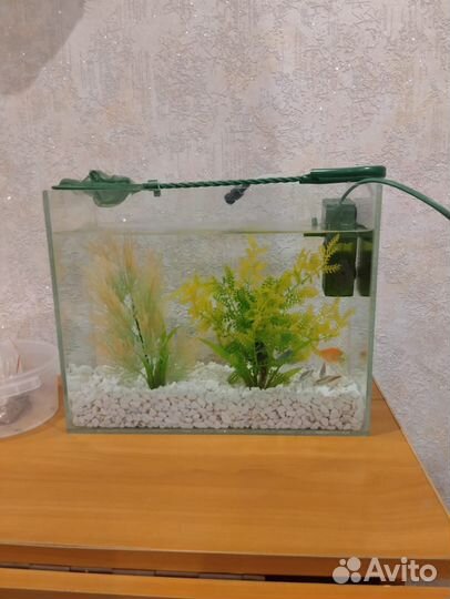 Аквариум