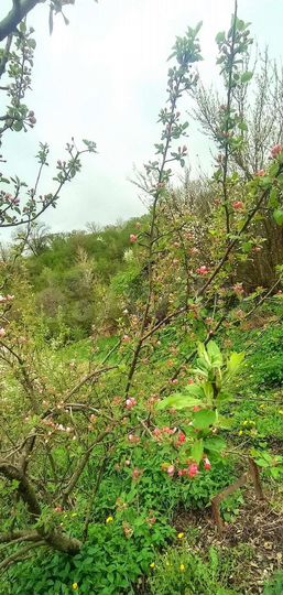 Дом 130 м² на участке 18 сот.