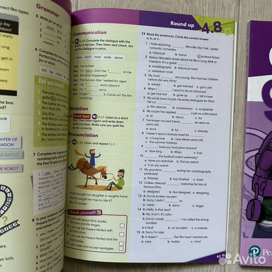 Go getter 4 +online practice