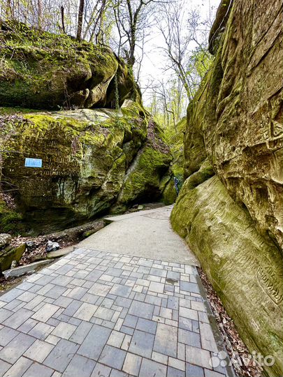 Индивидуальная экскурсия, тур в Горячий ключ