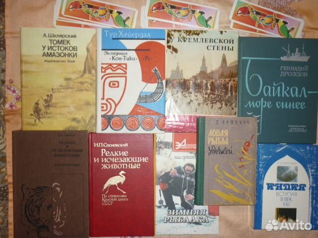 Животный мир,путешествия и рыбалка