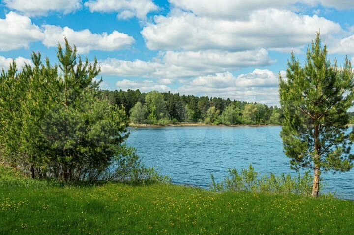 Участок 10 сот. (ИЖС)