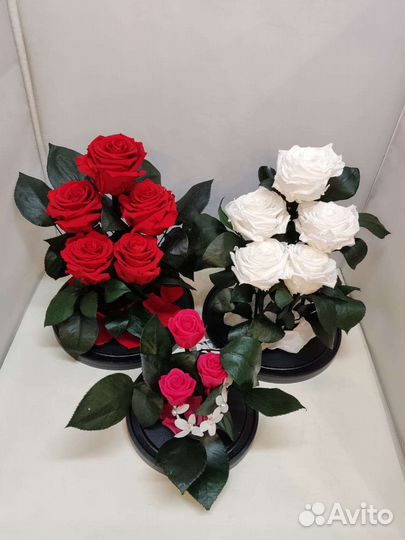 Подарок на новый год / Роза в колбе