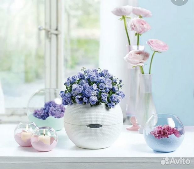 Lechuza puro color 20белый и розовый