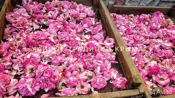 Крымская роза лепестки бутоны