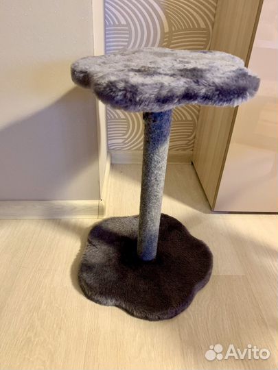 Когтеточка