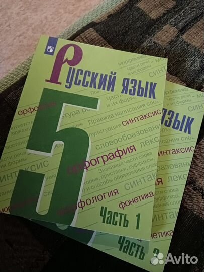 Учебник по русскому языку 5 класс Ладыженская