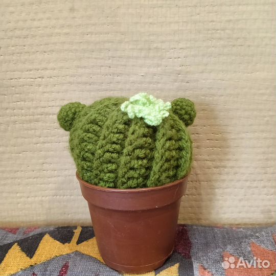Вязанный кактус