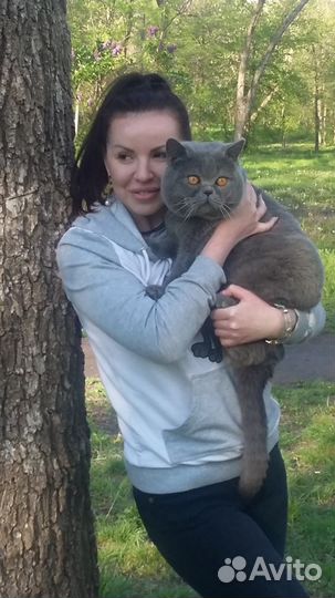 Кот на вязку