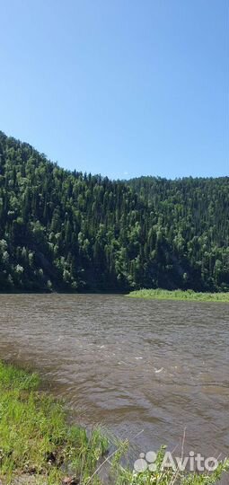 Сплав по мане на сап борде supboard