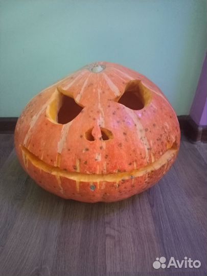 Тыква на голову