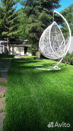 Рулонный газон