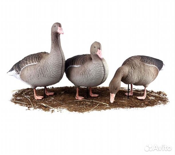 Чучела серых гусей superxpe 3D 10шт