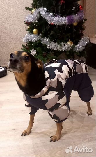 Комбинезон зимний для собак