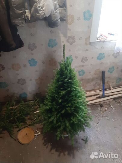 Икебаны из веток ели